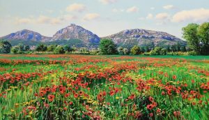 Primavera al Montgrí