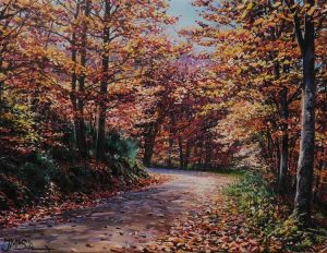 Tardor a Sta Fe del Montseny